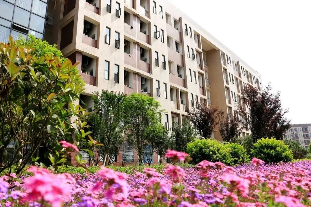 广西2020对口单招考试时间,2024年中职对口单招考试资料