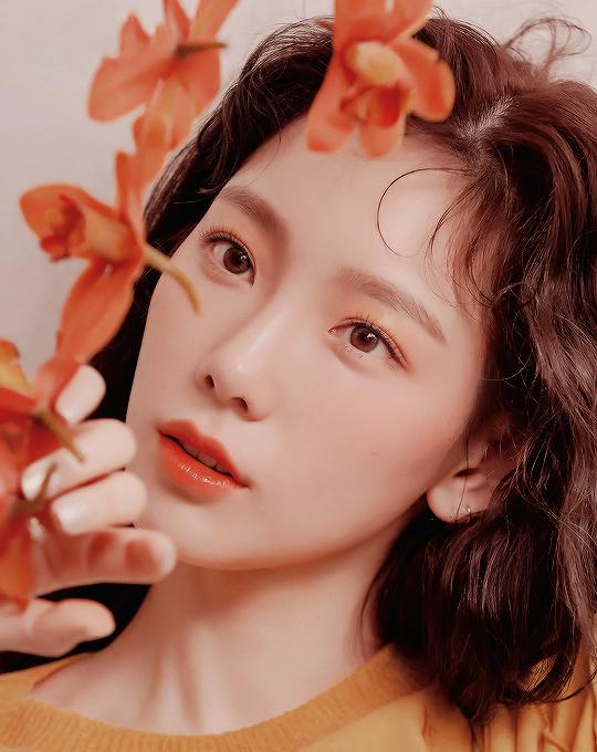 长相高级的韩国女星,韩国最漂亮最有气质的女明星