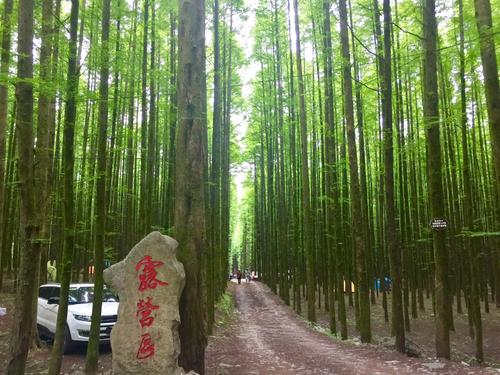 重庆人去哪里避暑最合适,重庆人适合出去避暑地方推荐