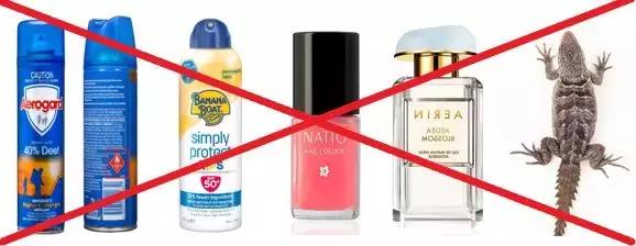 出国购物要注意哪些,出国旅游购物有限制吗