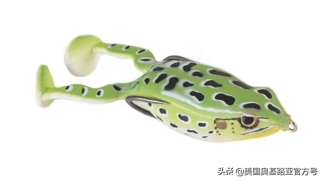 全国渔具展会2021时间表图片,2023国际渔具展会大全一览表