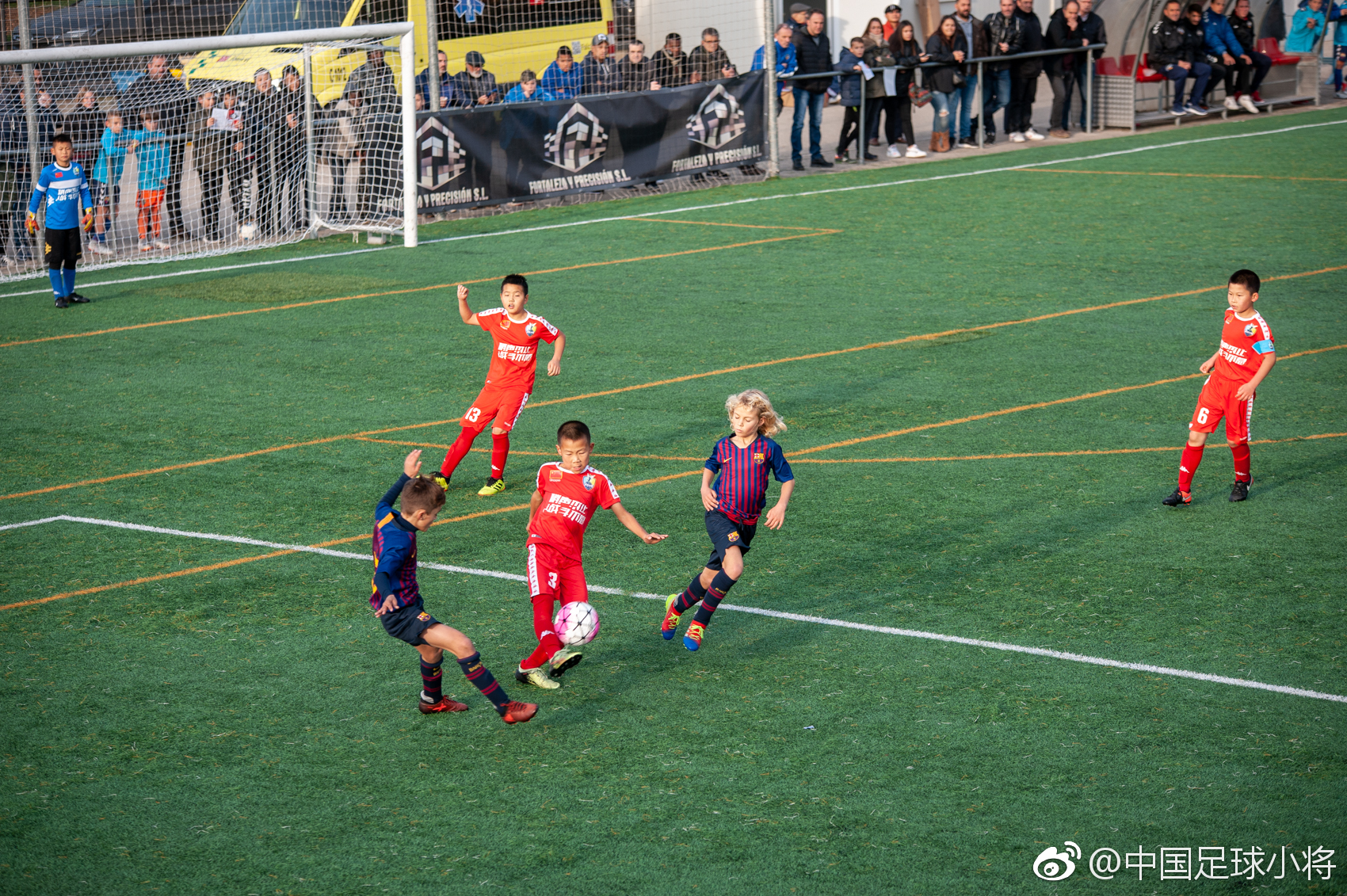 中国未来故事,中国未来的故事