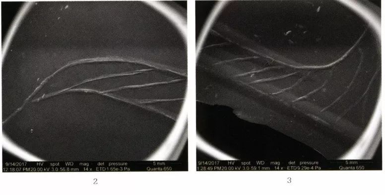 江苏徐州狮子山楚王墓陶俑,狮子山楚王大墓玉器