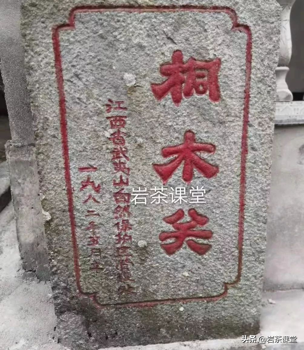 如何辨别红茶金骏眉好坏 (如何区分真假金骏眉红茶)