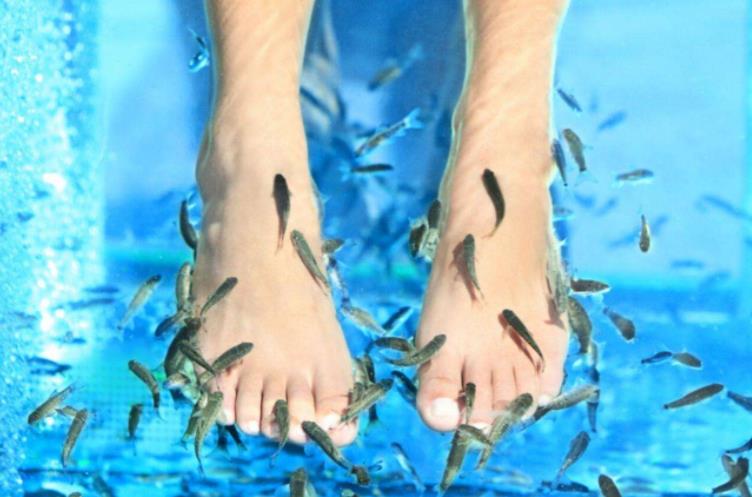 灵芝药浴,十几种药浴温泉