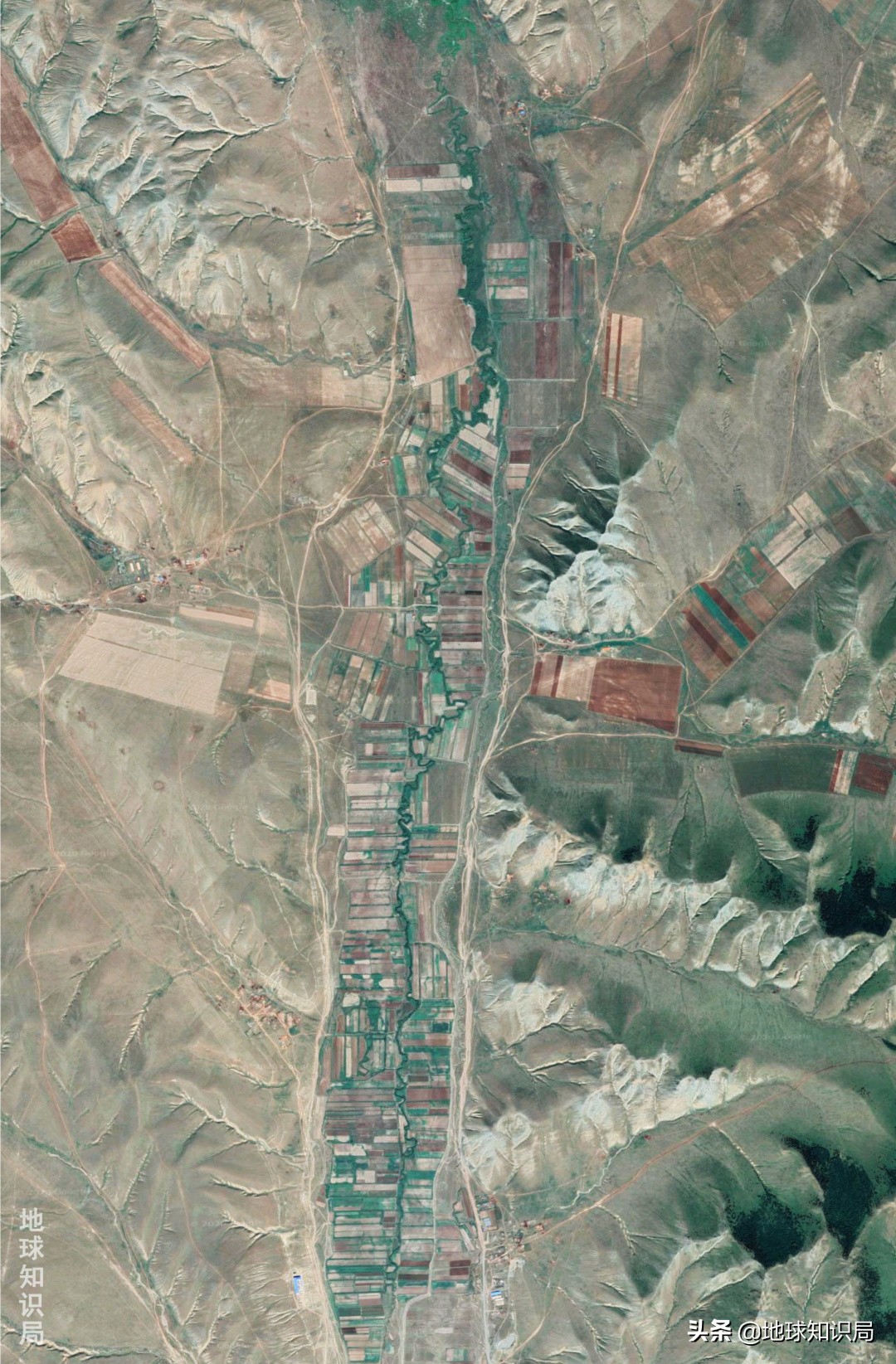 蒙古国农业潜力,蒙古国为什么适合发展畜牧业