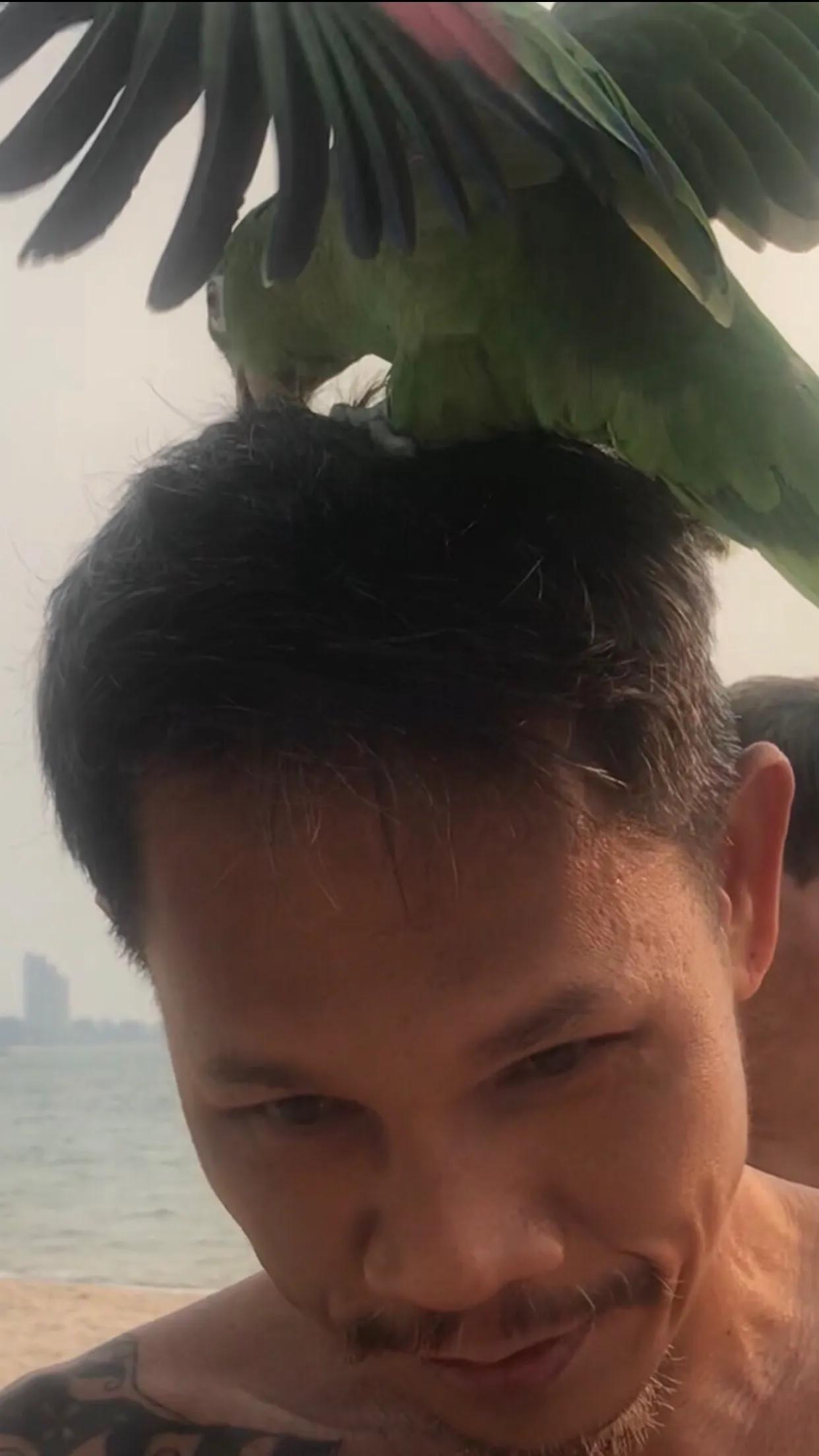 泰国的自然环境简介,泰国生态怎么样