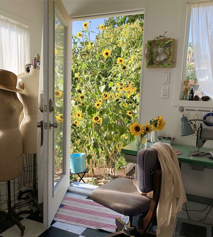 外国网友分享的风景,国外网友分享的风景