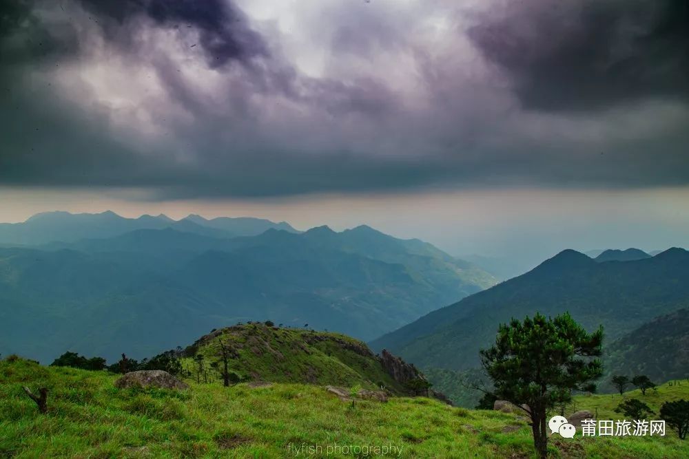 五月的山真的好美,五月的山的介绍