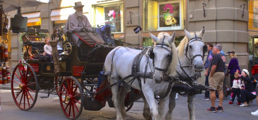 佛罗伦萨两天旅游攻略,佛罗伦萨旅行记