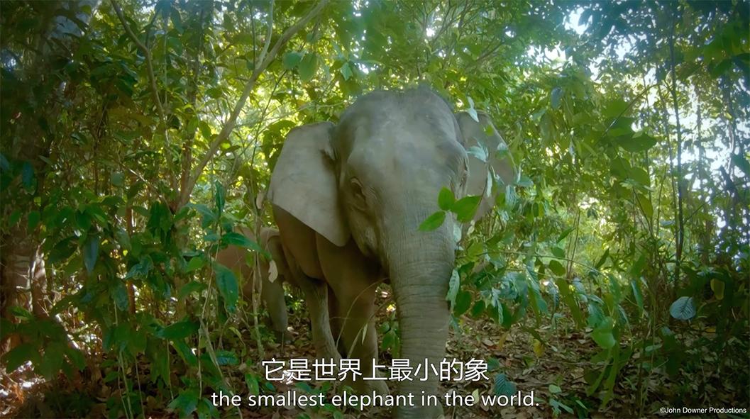 你在搞笑吗韩语,bbc搞笑视频