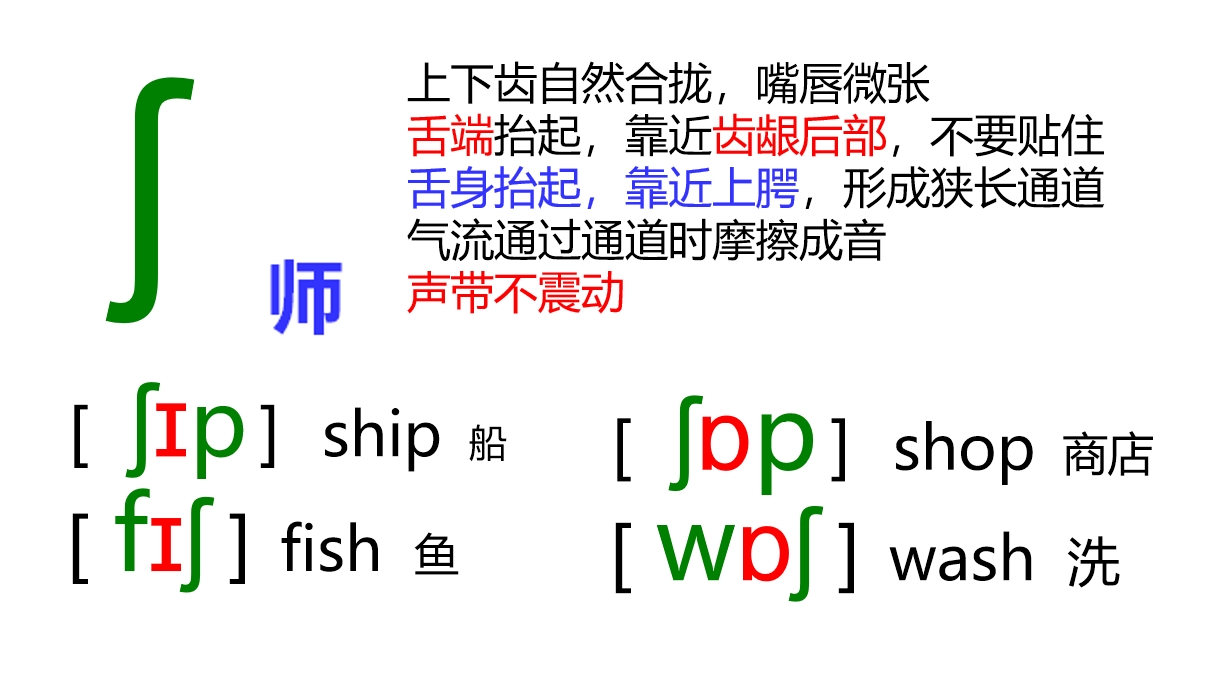 48张国际音标卡片大号,音标48个卡片