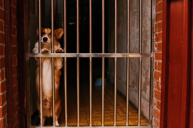 慧园里：南京版上海石库门，背靠夫子庙，却差点被拆除