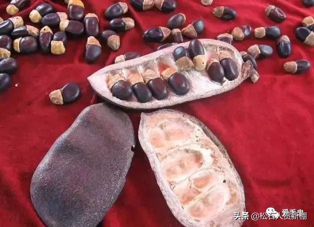 菩提各种盘玩方法,21颗菩提根手串上手效果