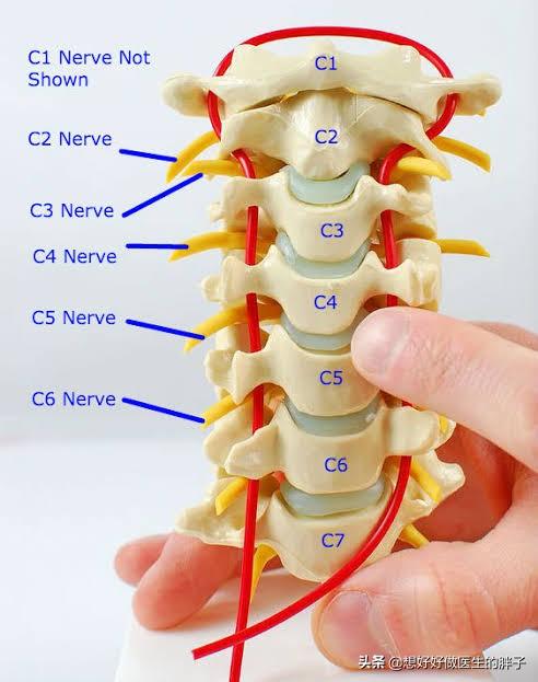颈椎骨刺压迫神经怎么治疗,颈椎间盘突出压迫神经的症状