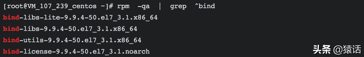 搭建dns服务器关键步骤文字描述,内网dns服务器搭建开源产品