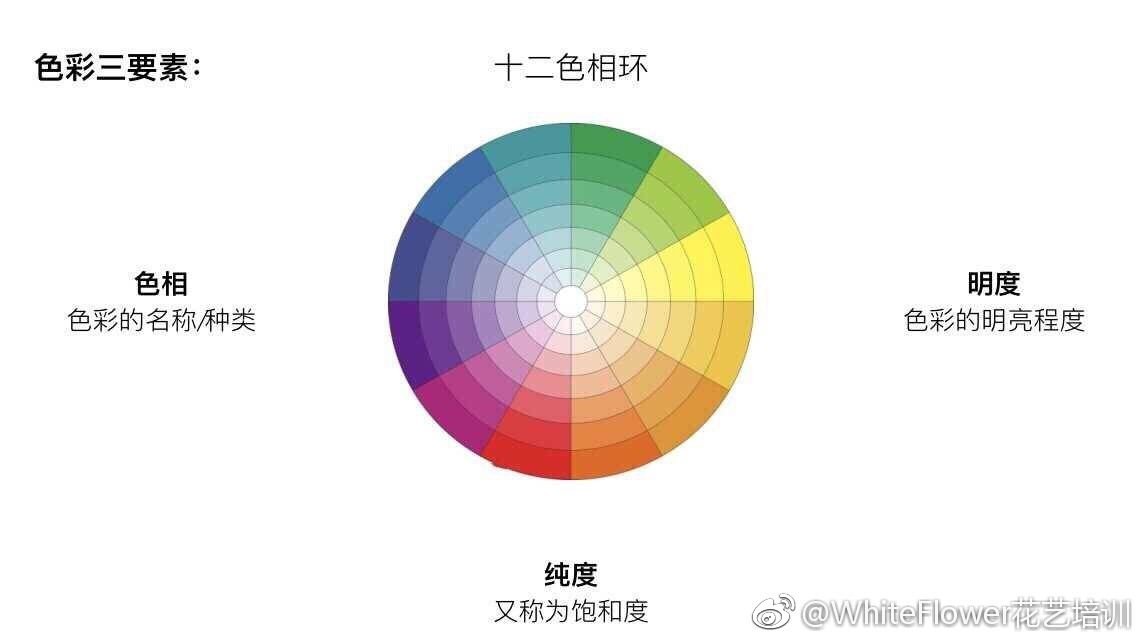 whiteflower闂ㄥ簵,whiteflower