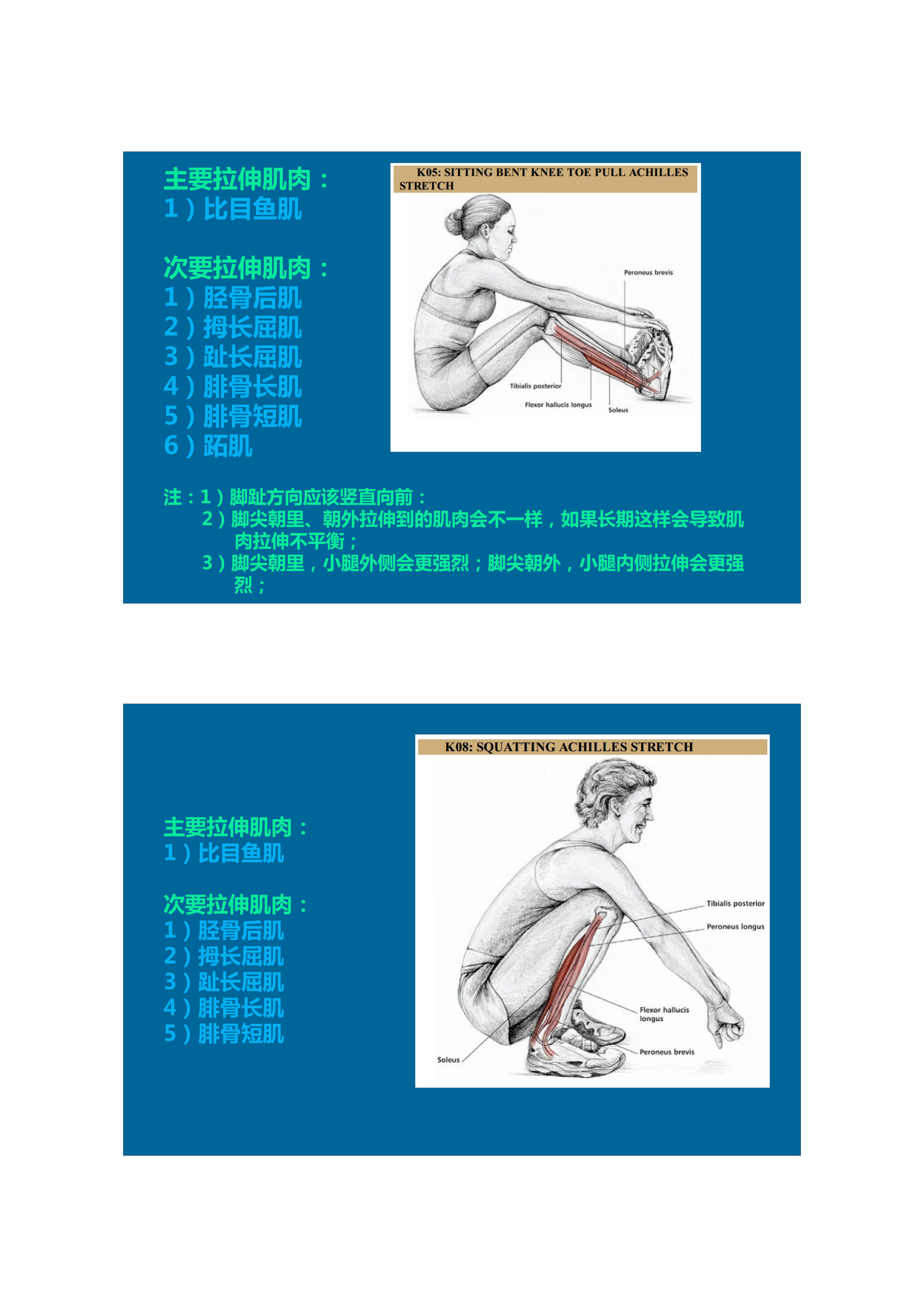 拉伸动态块制作技巧,泰式后背拉伸技巧视频