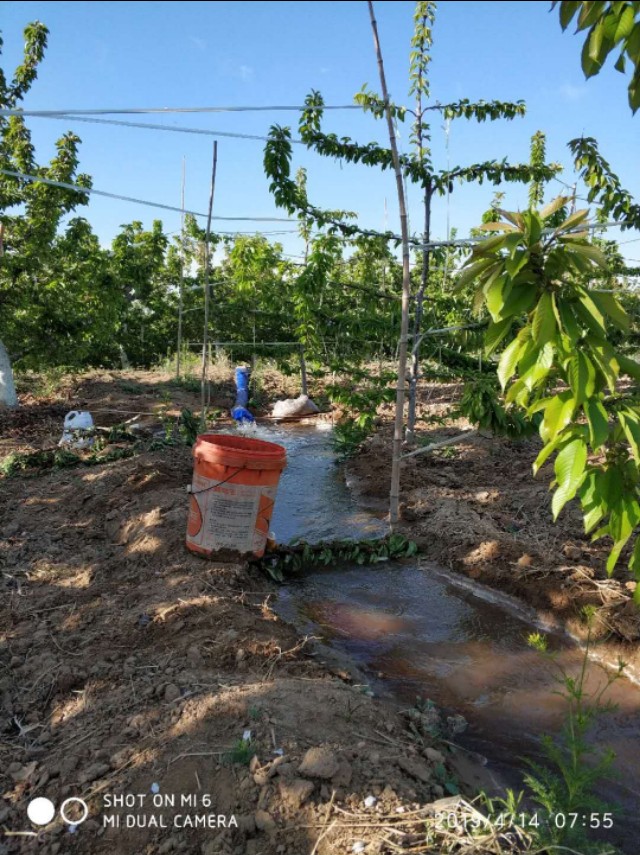 水果预售成功案例,网络卖水果骗局揭秘视频