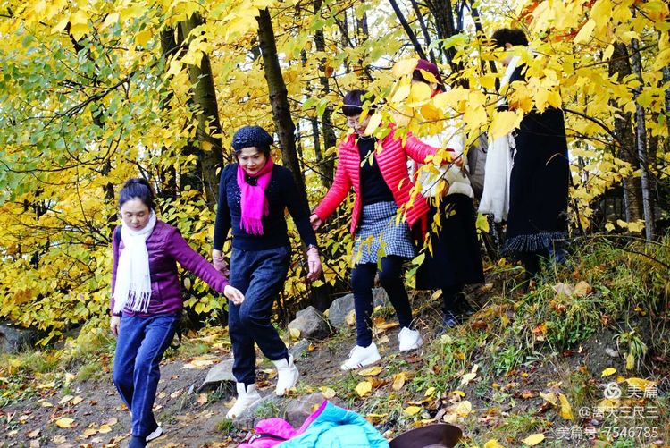 鍖楃編鏋儏閽荤煶姗℃湪,鍖楃編鏋儏鐏攨