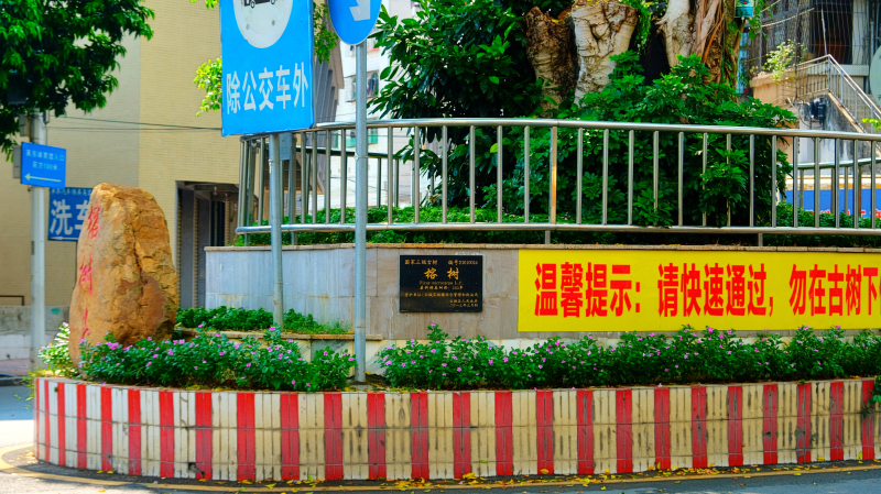 云浮小众旅游推荐,云浮小城