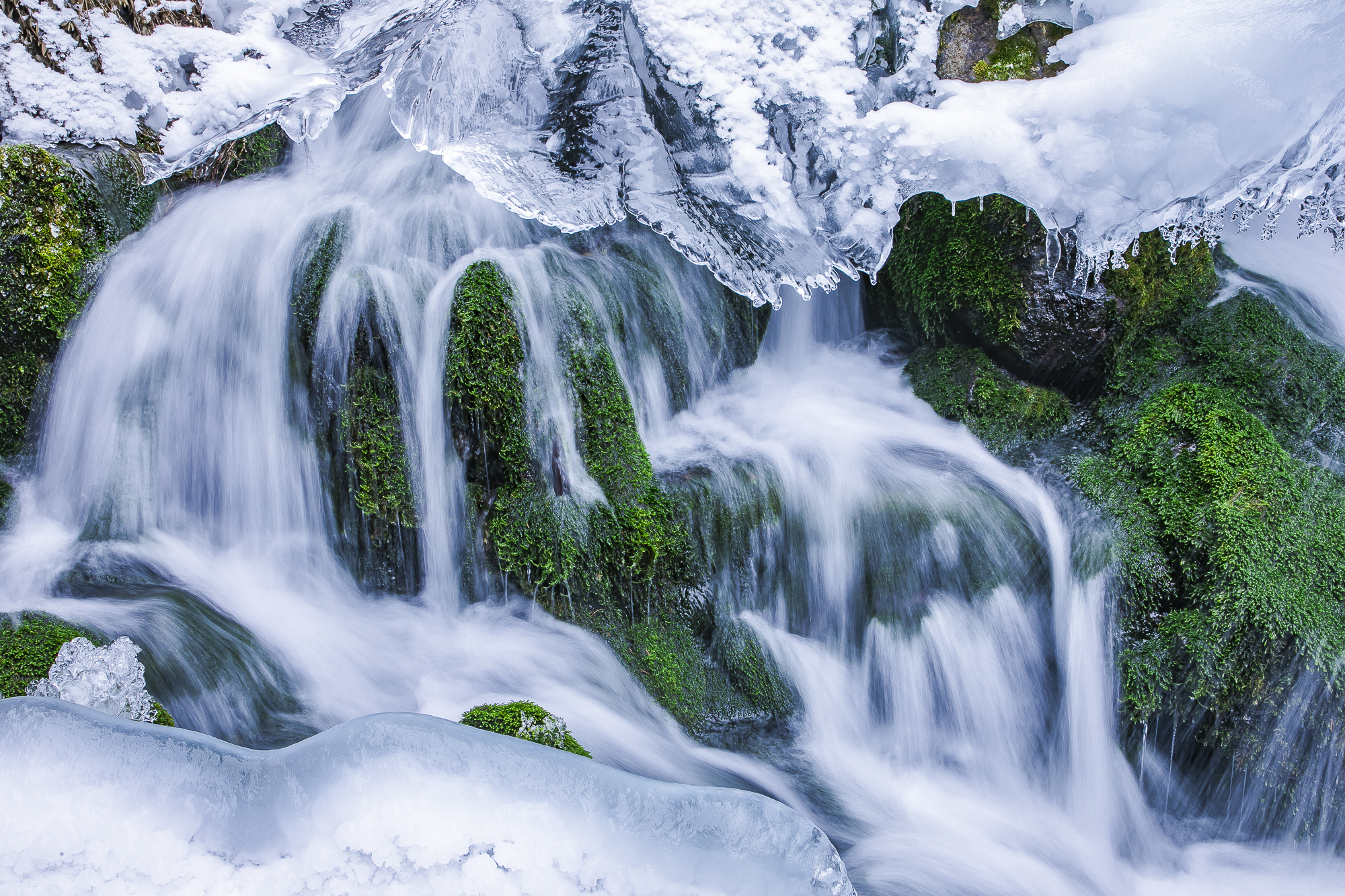 大美新疆博格达峰美景,天山天池博格达峰全景图片