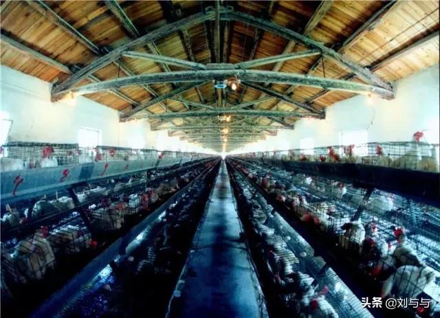 兖州兴隆庄煤矿建于哪一年,兖州兴隆庄煤矿最新消息