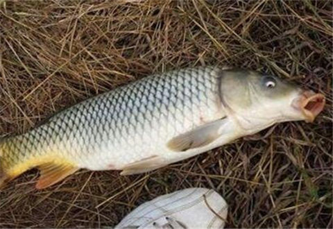 如何找到一个钓鱼窝子,找到一个好钓点