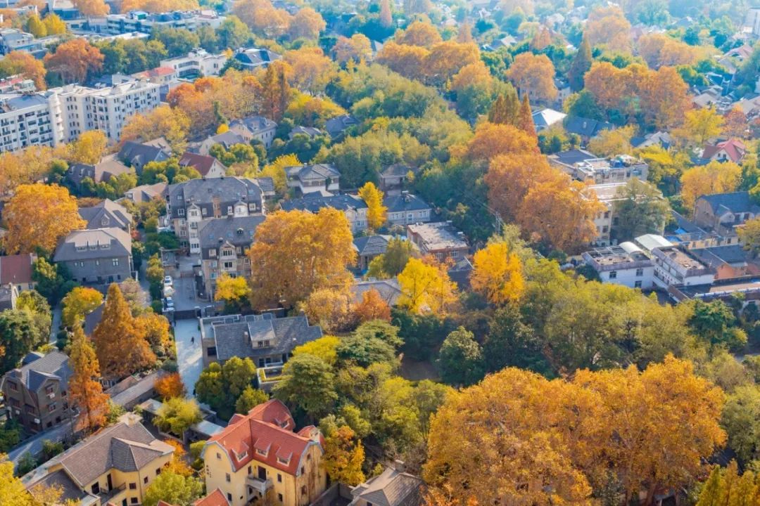 南京值得去生活吗,在南京生活15年的感受