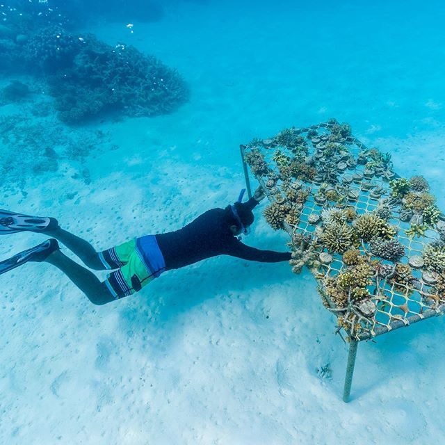 马尔代夫唯一岛屿是什么,马尔代夫最大的岛屿面积多少