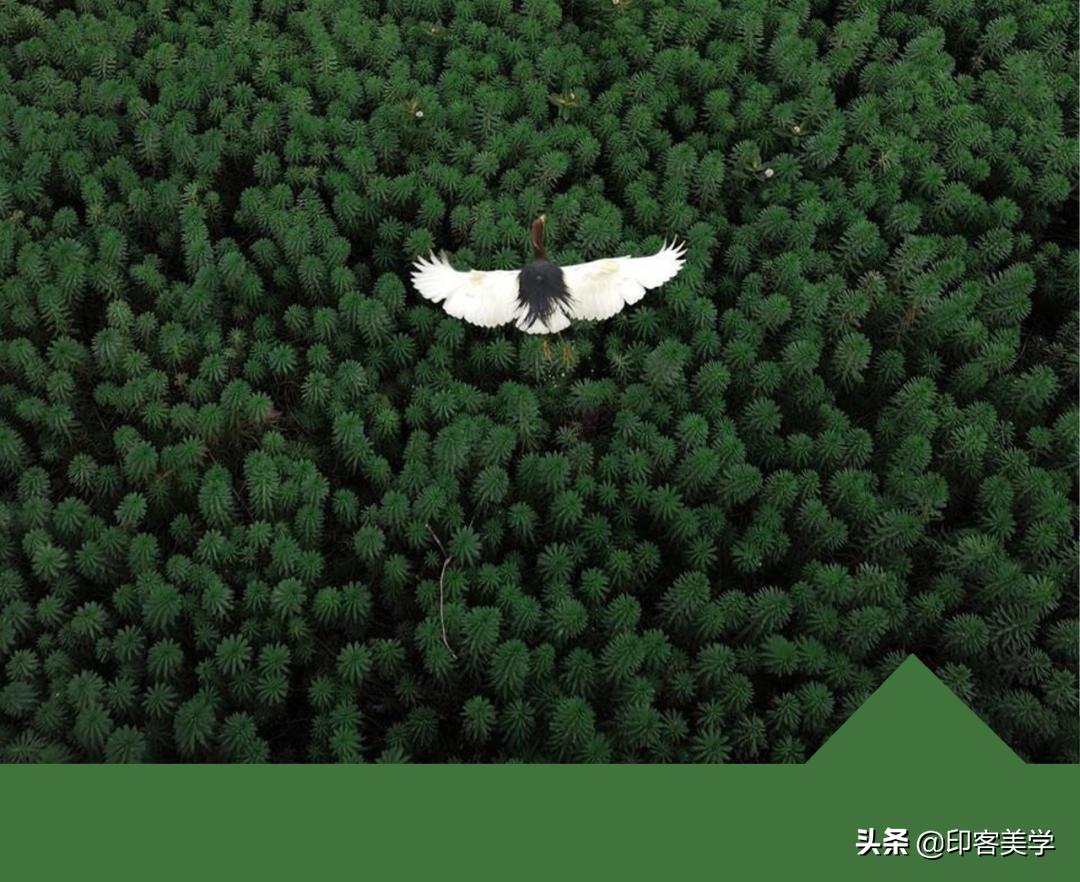 再见网抑云，给你7份骚气歌单