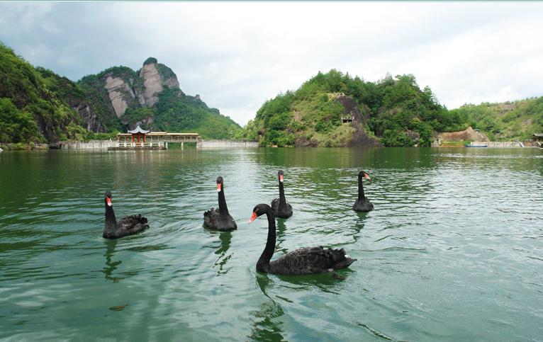 龙岩市旅游景区布局图,龙岩市旅游景区管理系统