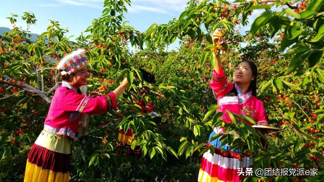 纳雍县政府彭华昌,彭华昌最新采访视频