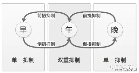 语言学习的技巧和方法,学习c语言需要掌握哪些基本知识