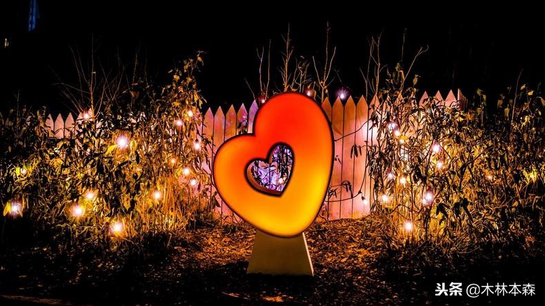 加拿大多伦多生活日记,加拿大多伦多留学生活纪实