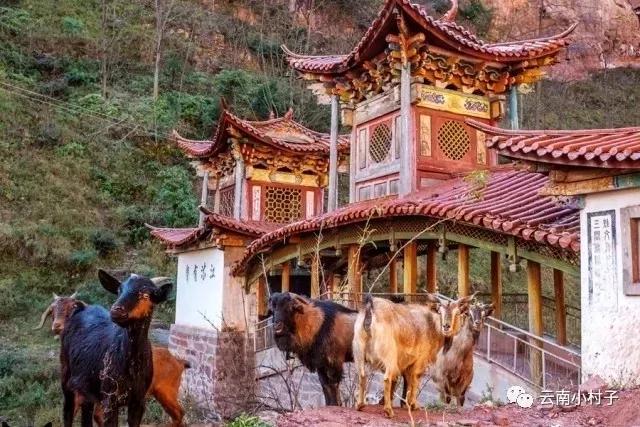 鍏板潽鍗拌薄,鍏板潽涔″湡鍗拌薄