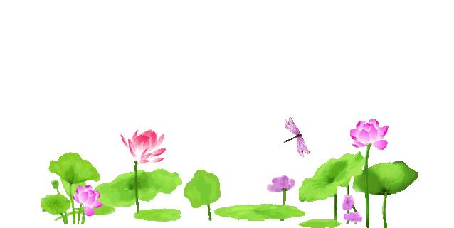 广州有荷花的地方,广州周边的荷花景点推荐