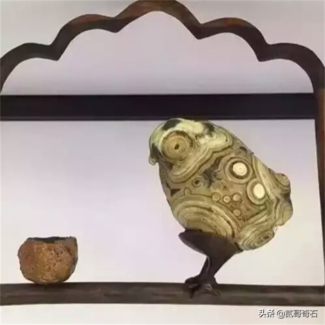 奇石店老板卖石头,奇石店