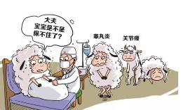 人畜共患病布病,人畜共患病布病防控措施