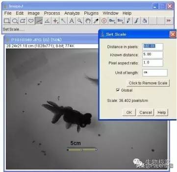 黄色和绿色如何用imagej分析,imagej图像分析教程