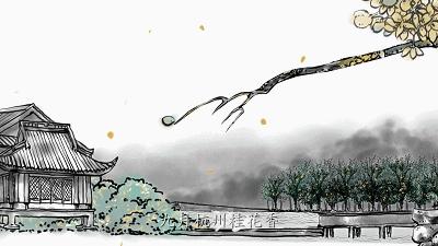 桂花精油桂花纯露,桂花精油纯天然价格