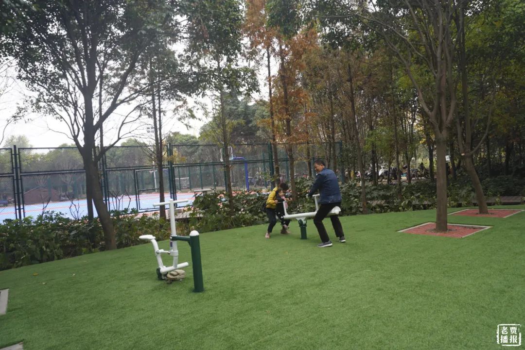 洛阳一大型网红公园免费开放,洛阳湿地公园网红打卡地