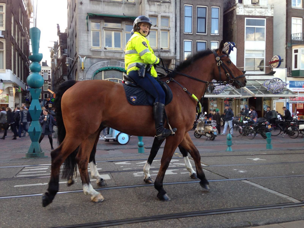 阿姆斯特丹到底有多繁华,阿姆斯特丹为什么叫自由之城