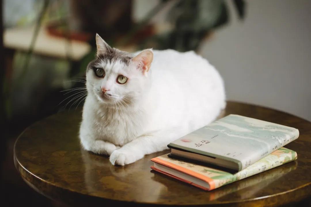 认真吃饭好好睡觉保持开心,认真吃饭好好爱自己
