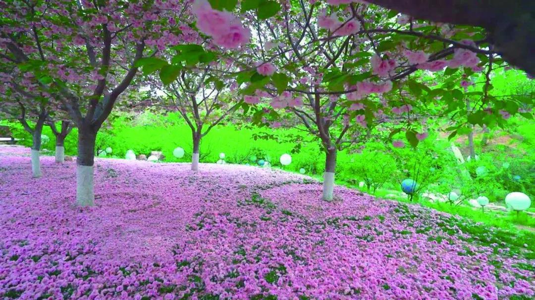 乡村精品游线路推荐,极品旅游景点推荐