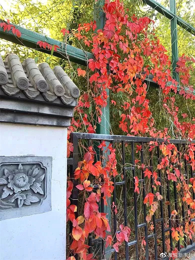 丰台赏秋景最好的地方,丰台赏秋好去处