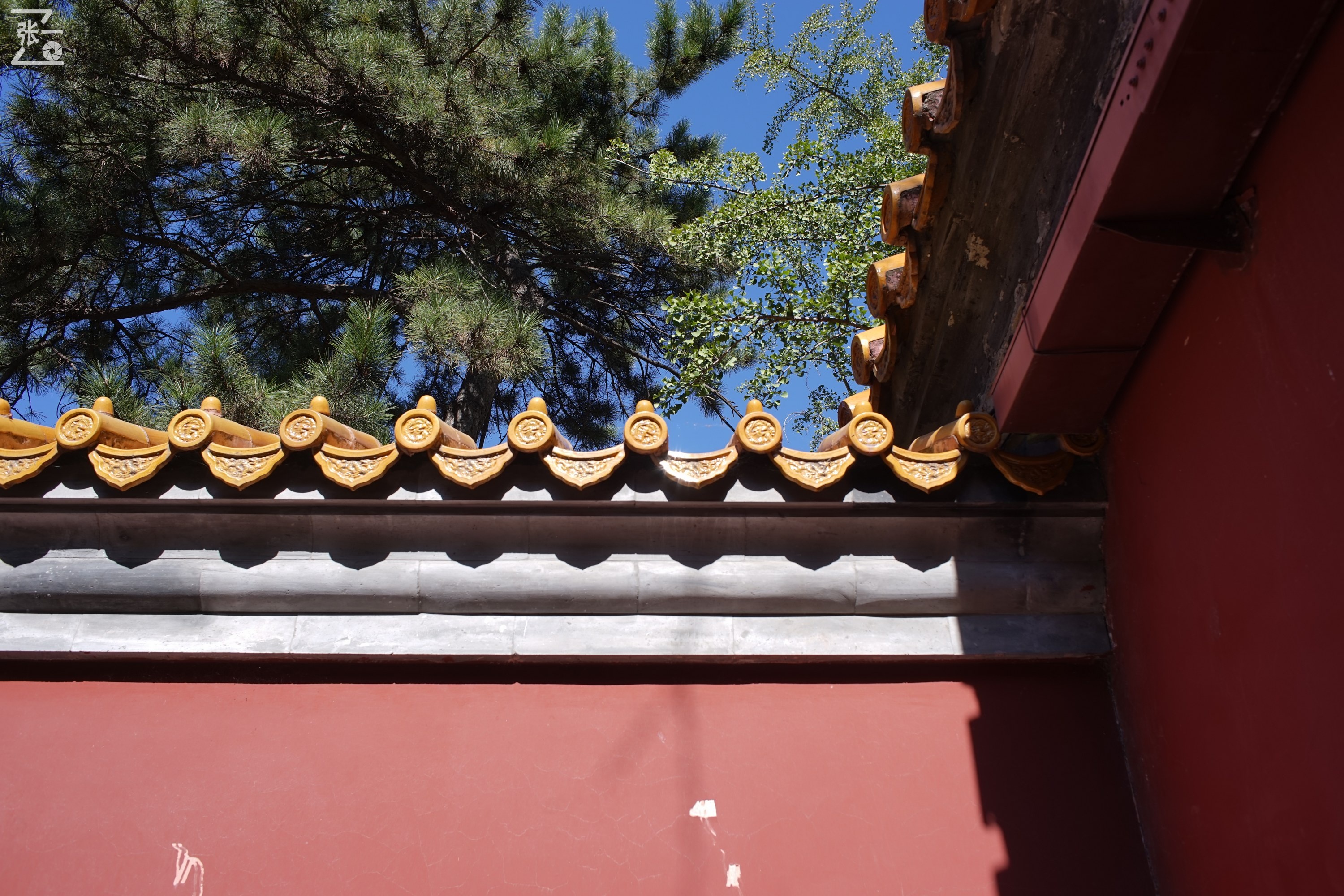 镜头测试：蔡司红T28/2.8+索尼微单A7实拍北京景山公园