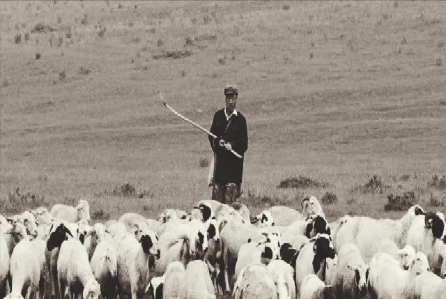 放羊娃马玉林，开创步法追踪技术破大案：逢案必去，每去必破