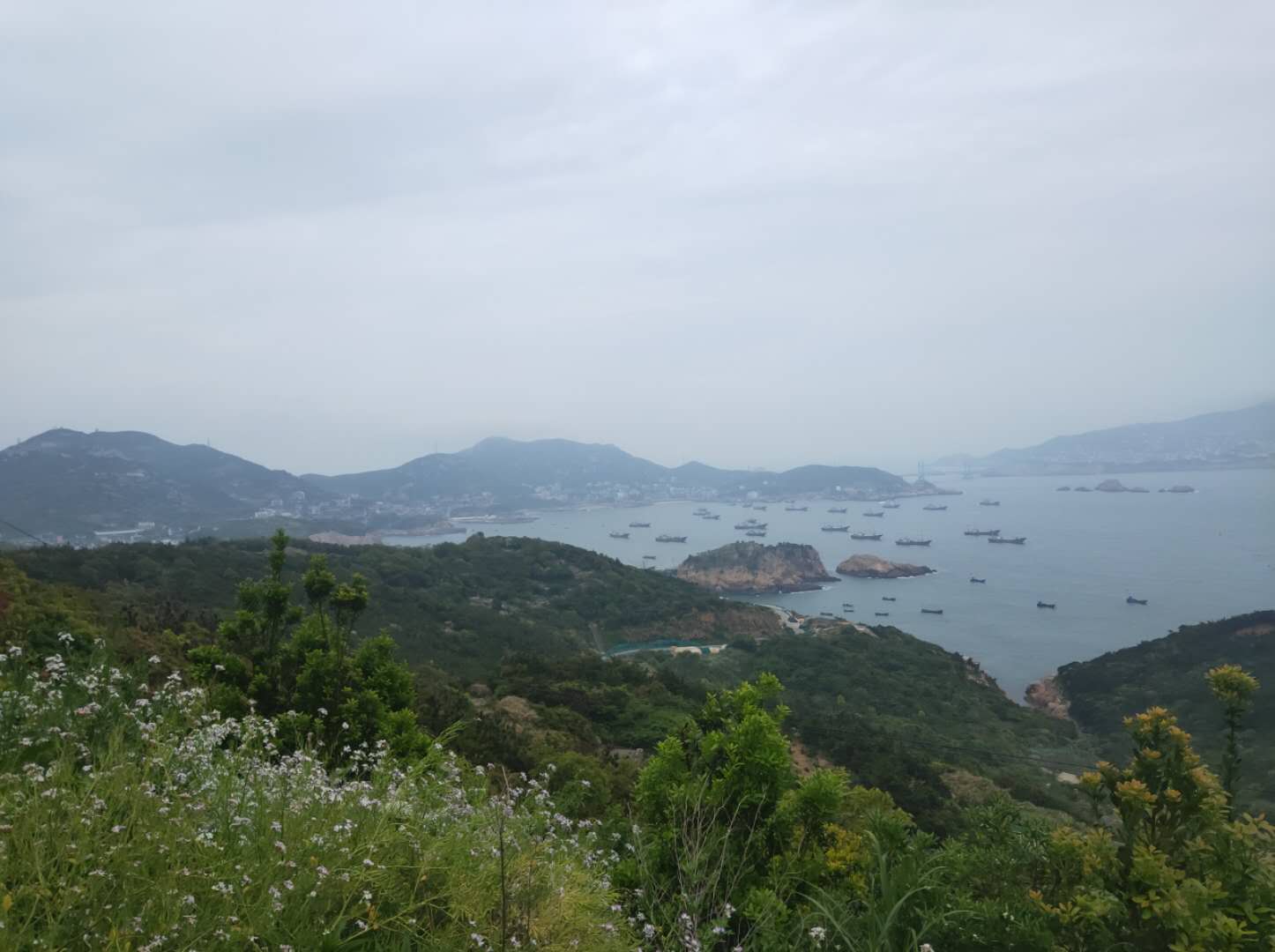 冬季的枸杞岛,枸杞岛感受