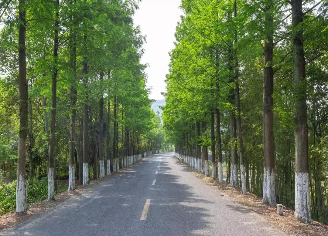 徒步浙东大峡谷,邂逅虎跳峡感受大自然